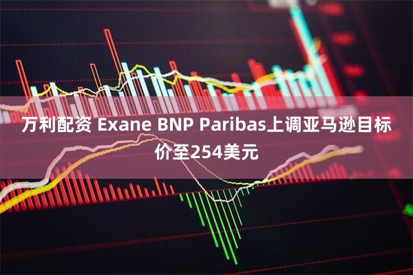万利配资 Exane BNP Paribas上调亚马逊目标价至254美元