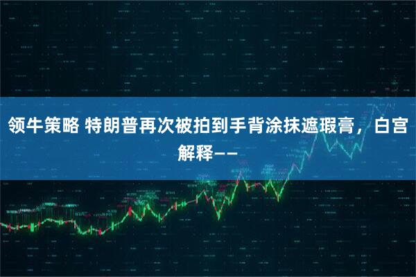 领牛策略 特朗普再次被拍到手背涂抹遮瑕膏，白宫解释——
