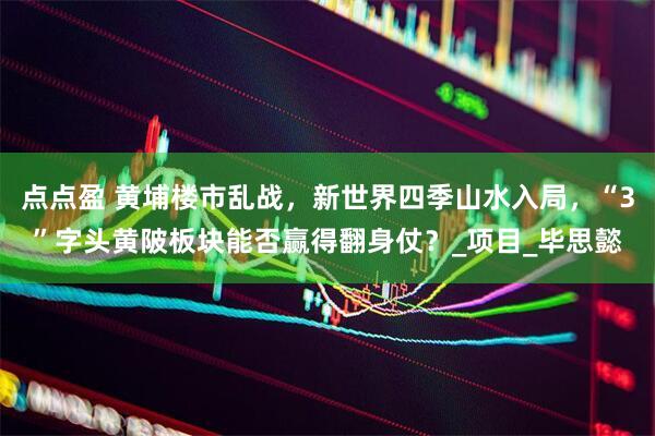 点点盈 黄埔楼市乱战，新世界四季山水入局，“3”字头黄陂板块能否赢得翻身仗？_项目_毕思懿