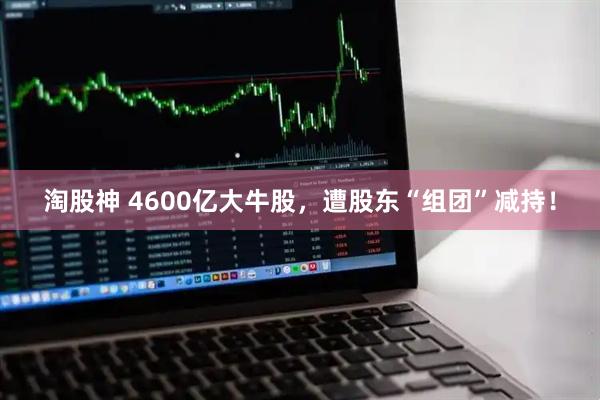 淘股神 4600亿大牛股，遭股东“组团”减持！