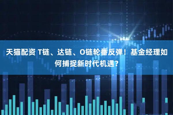 天猫配资 T链、达链、O链轮番反弹！基金经理如何捕捉新时代机遇？